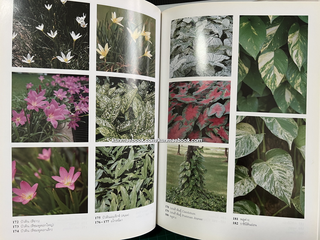 สารานุกรมไม้ประดับในประเทศไทย เล่ม 1-2 ( ปกแข็ง )