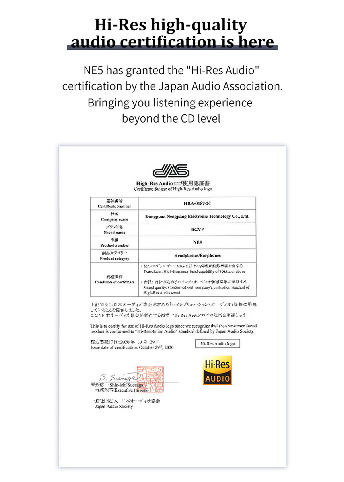 ขาย BGVP NE5 หูฟัง 5 ไดรเวอร์ 2Electrostatic+2BA+DD ประกันศูนย์ไทย