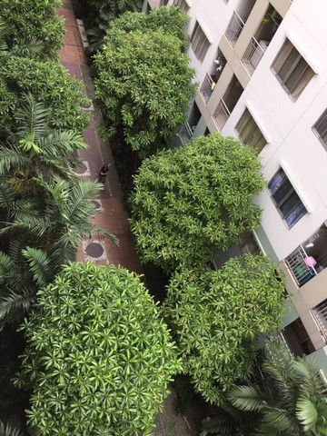 ให้เช่าคอนโด ลุมพินี ทาวน์ รามอินทรา-หลักสี่ ชั้น 6 ห้อง 25 ตรม.วิวสวน เฟอร์ครบ ใกล้เซ็ลทรัล