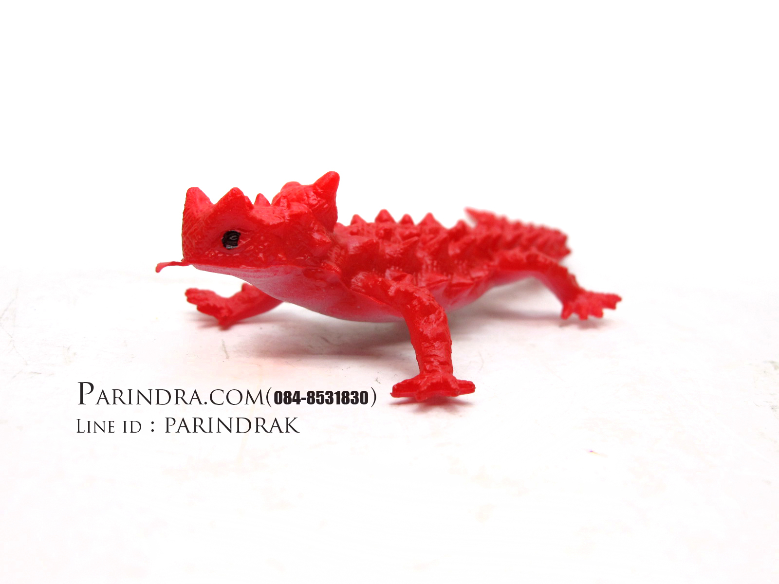 โมเดลกิ้งก่าหนามแดง