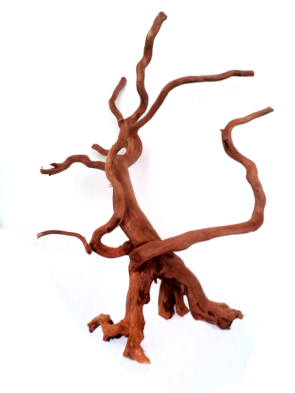 รากไม้แดงตกแต่งตู้ปลาหรือใช้เลี้ยงสัตว์เลื้อยคลาน ขนาดใหญ่ สูง 17 นิ้ว 026