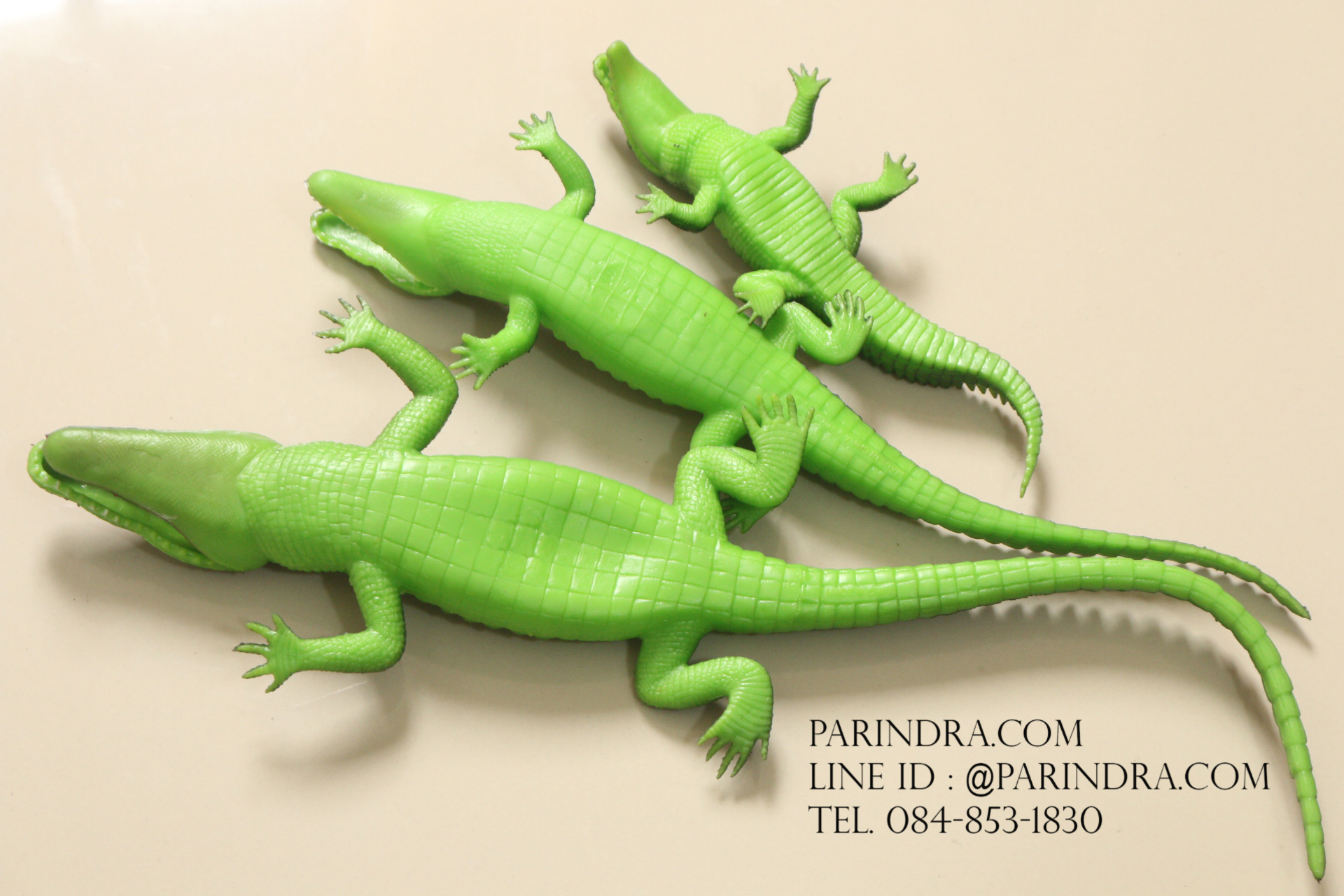 โมเดลครอบครัวจระเข้ พ่อ แม่ ลูก