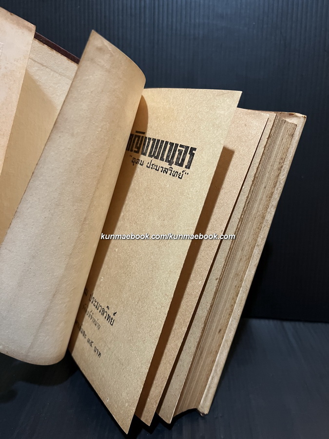 ฟ้าหญิงพเนจร ผลงานของ อุดม ประมวลวิทย์