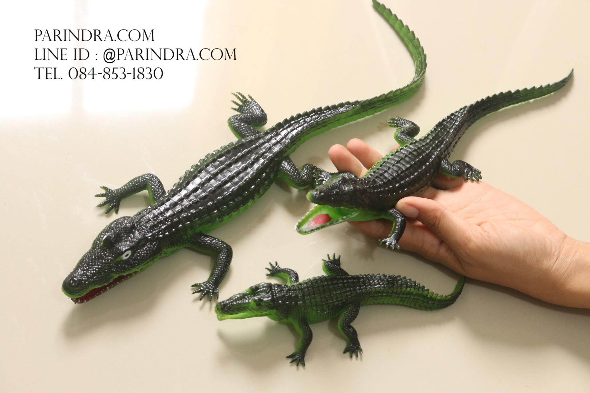 โมเดลครอบครัวจระเข้ พ่อ แม่ ลูก