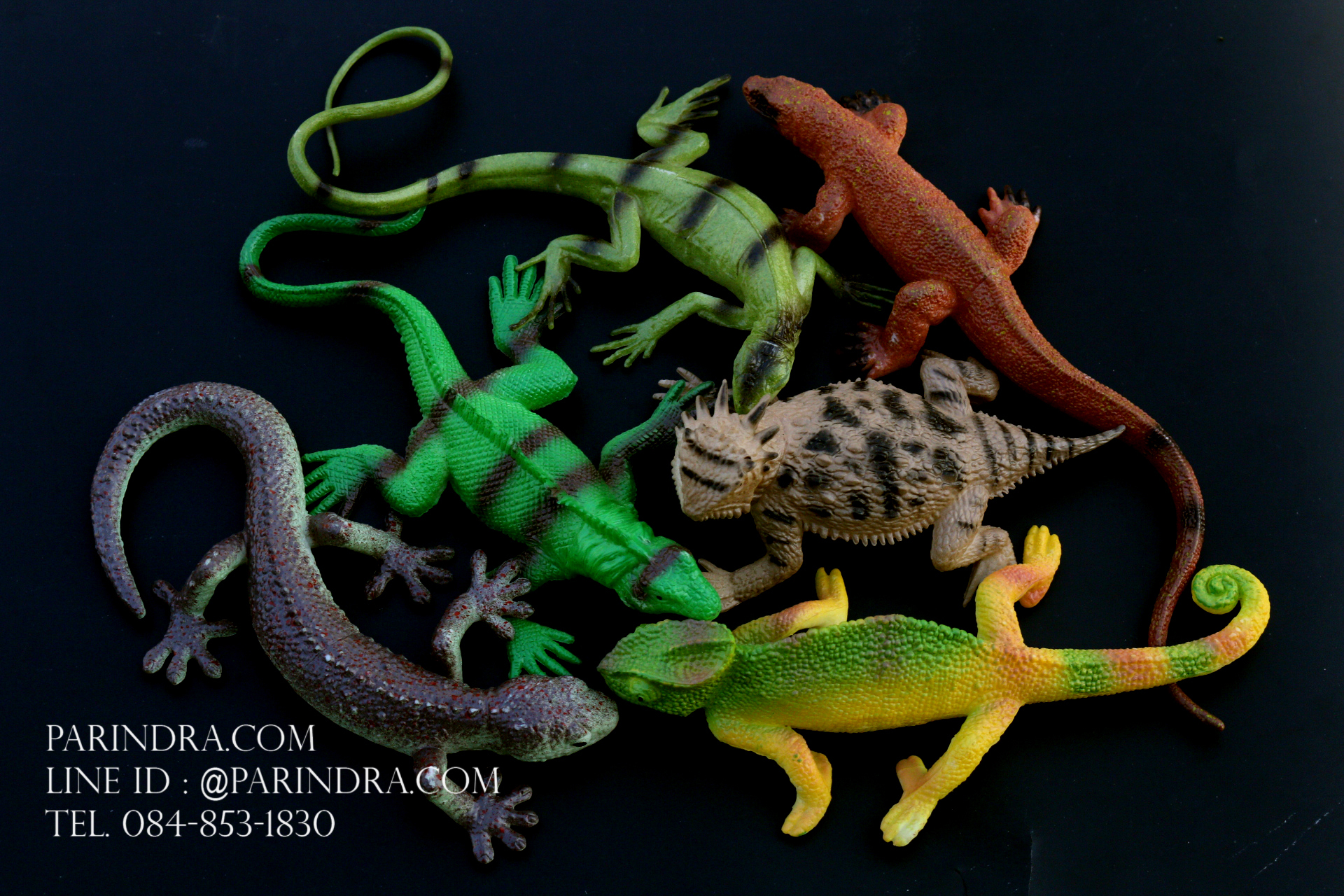 โมเดลสัตว์ชุด รวมสัตว์เลื้อยคลาน Reptile MIXED