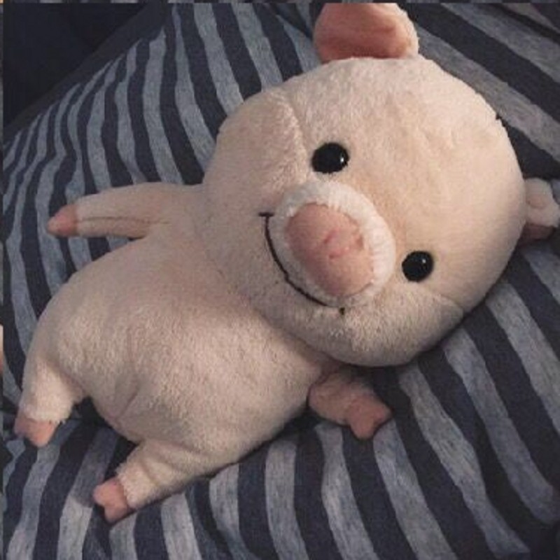 ตุ๊กตาหมู นุ่มนิ่ม สุดคิ้วท์