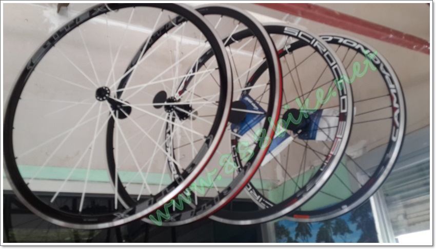 ชุดล้อเสือหมอบ BITEX 700C ALUMINIUM NEW (BEARING) ขอบ 30mm, 20/24H, 2017