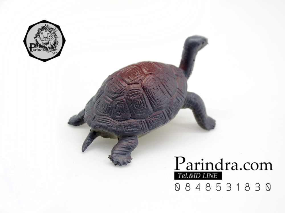 โมเดลเต่ายักษ์กาลาปากอส ชุดคู่สองตัว