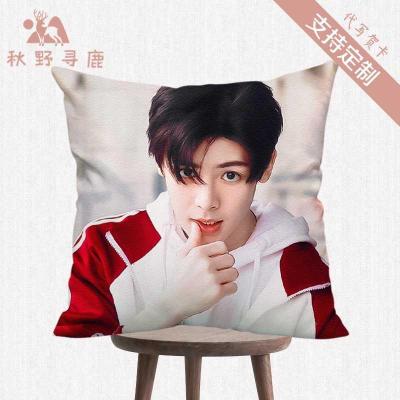 หมอน Neo Hou