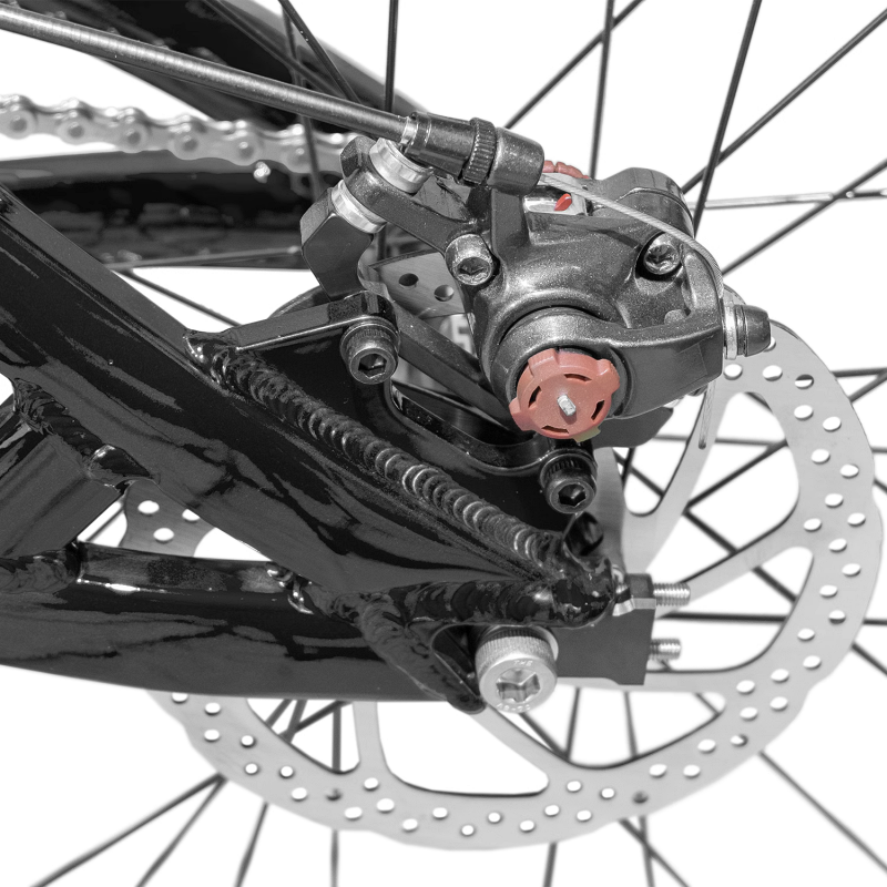 RPOLLO BIKE 24 นิ้ว | DIRT, STREET, SOFT TAIL จักรยานสไตล์เท่ห์พร้อมสีหลากหลาย