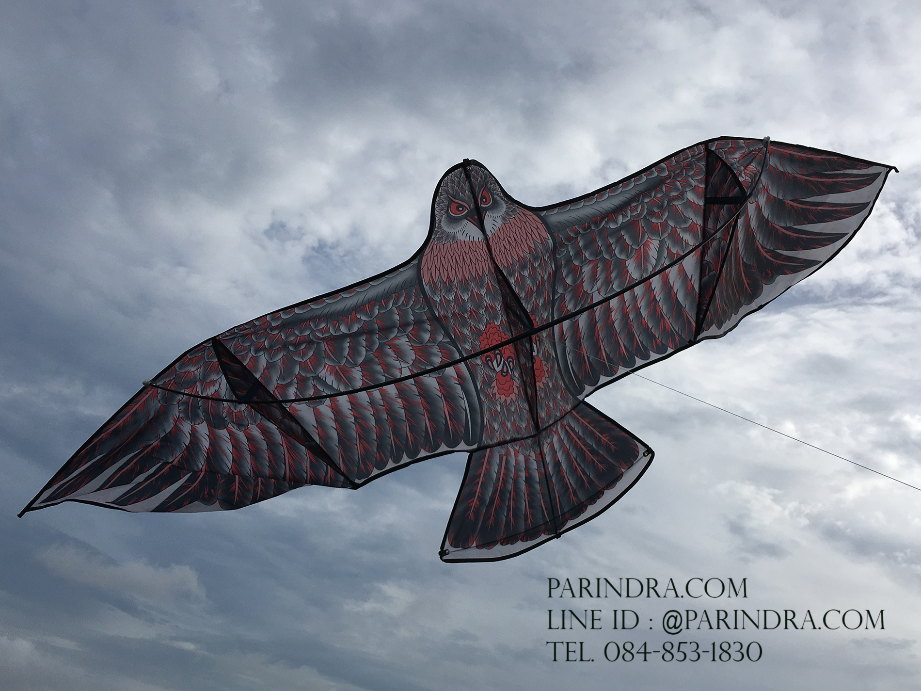 ว่าวนกอินทรีย์ ต่างประเทศ ขนาดปีก 1.9 เมตร น่าเล่น