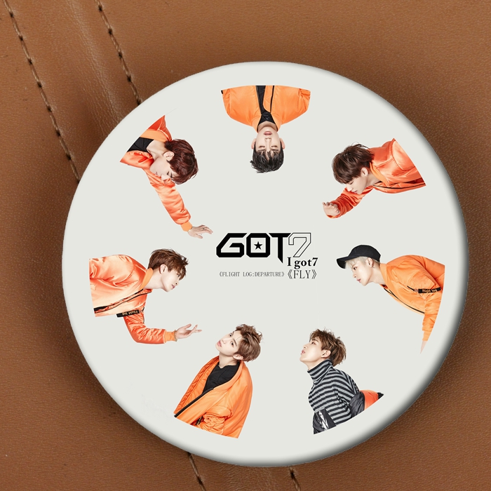 เข็มกลัด GOT7 - FLY