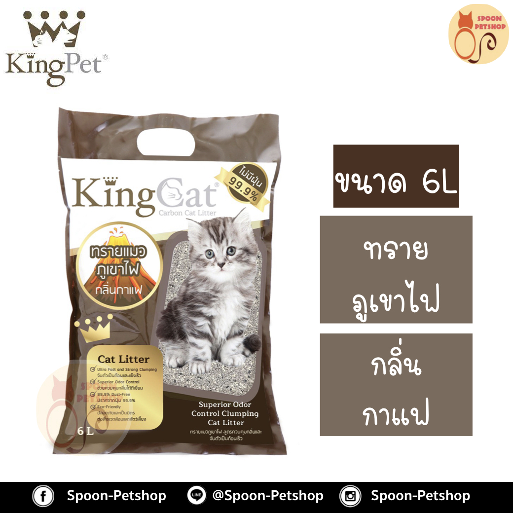 ทรายแมว King Cat ทรายภูเขาไฟ กลิ่นกาแฟ 6L ประหยัดกว่าทรายเบนโทไนต์ จับตัวเป็นก้อนดี รวดเร็ว