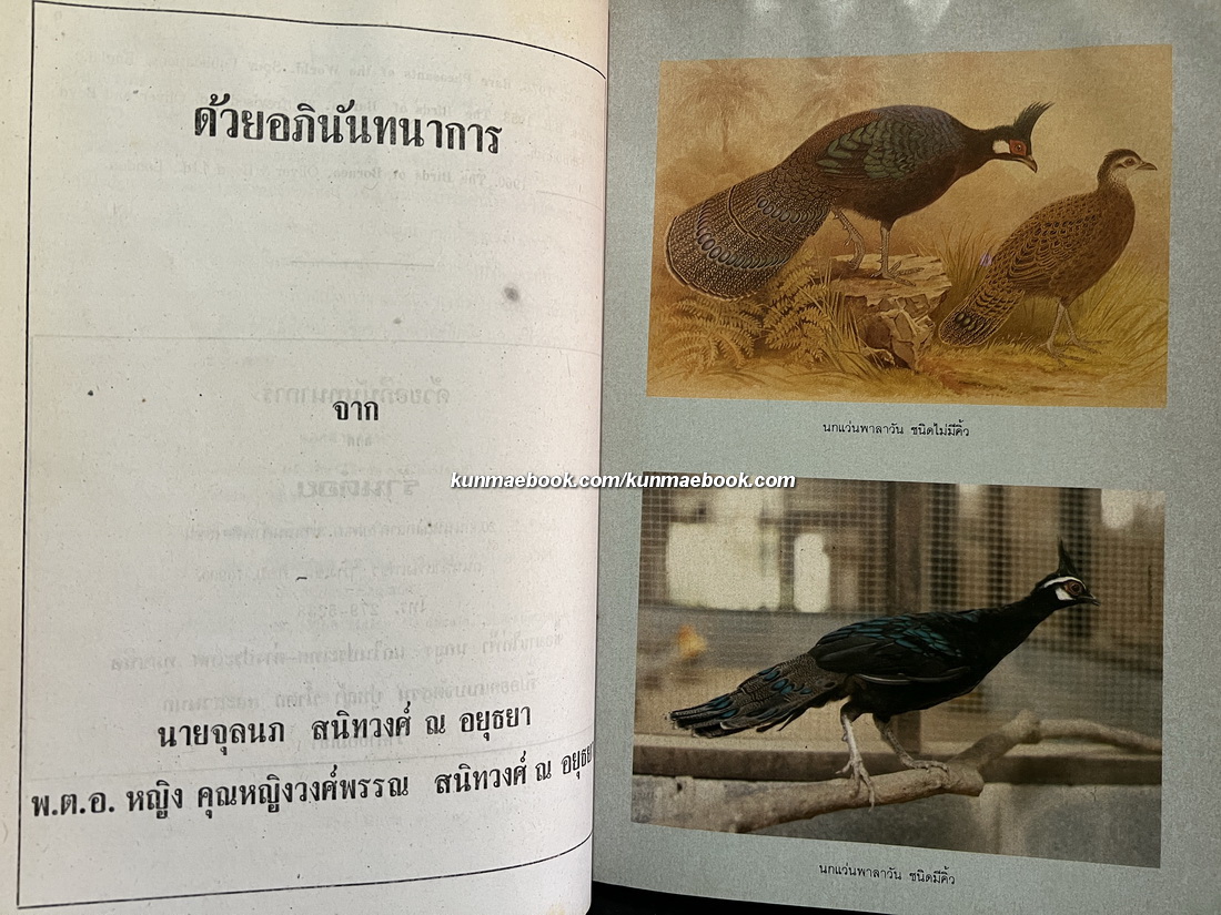 วารสารสมาคมอนุรักษ์ไก่ฟ้าแห่งชาติ ฉบับที่ 3 ปี 2533