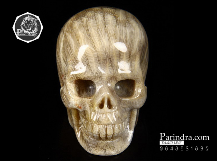 หินฟอสซิลปะการัง (Coral Fossil) แกะสลักรูปหัวกระโหลก ด้านหลังเหมือนก้อนสมอง #SKC000