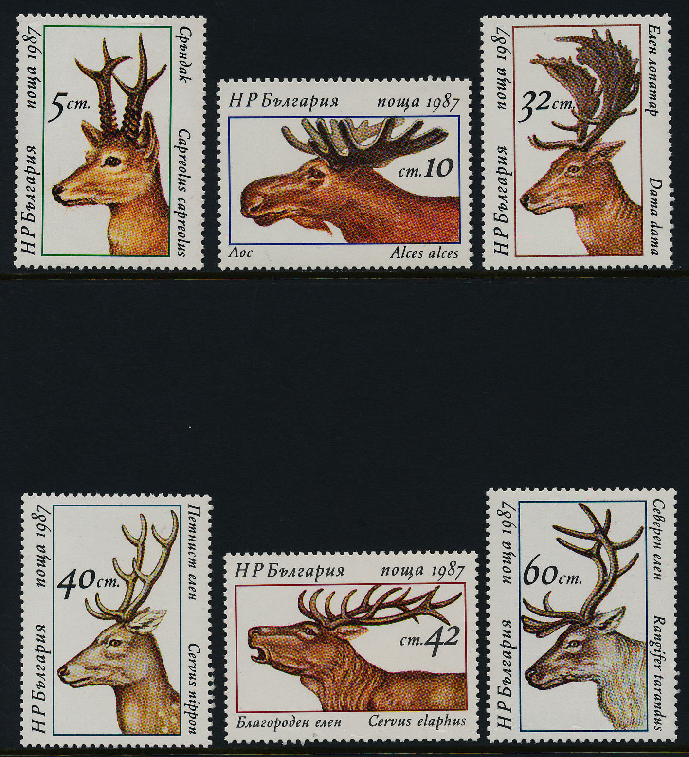 แสตมป์บัลแกเรีย ชุด DEER กวางชนิดต่างๆ ปี 1987 - Bulgaria