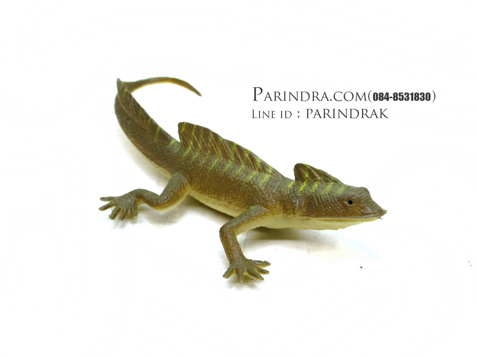 โมเดลกิ้งก่าบาซิลิสก์ Basilisk Lizard model