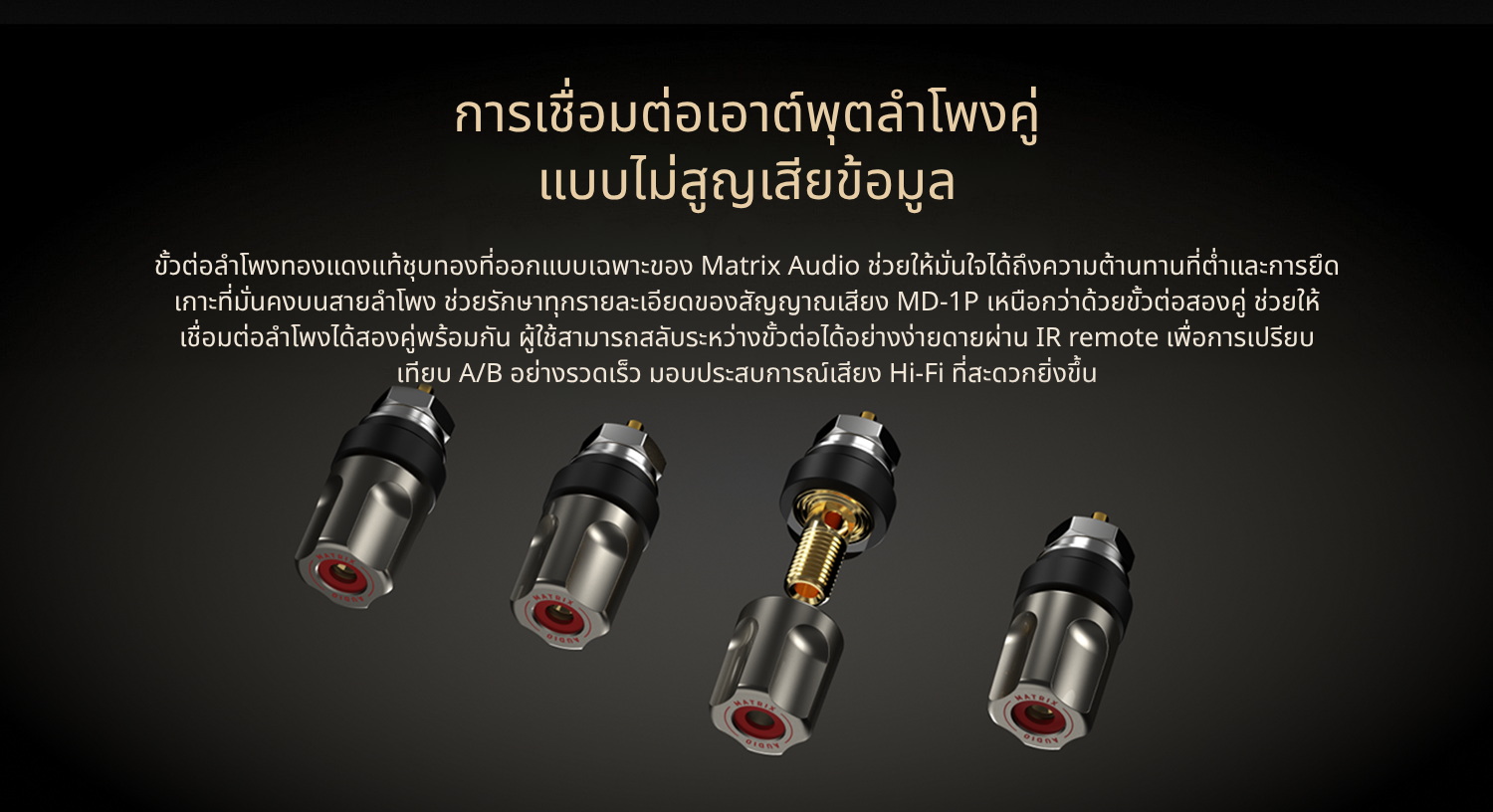 <สั่งจองล่วงหน้า> MATRIX Audio MD-1 / MD-1P เครื่องเล่นเพลงสตรีมมิ่งพร้อม DAC/AMP พรีเมี่ยมในตัว ประกันศูนย์ไทย