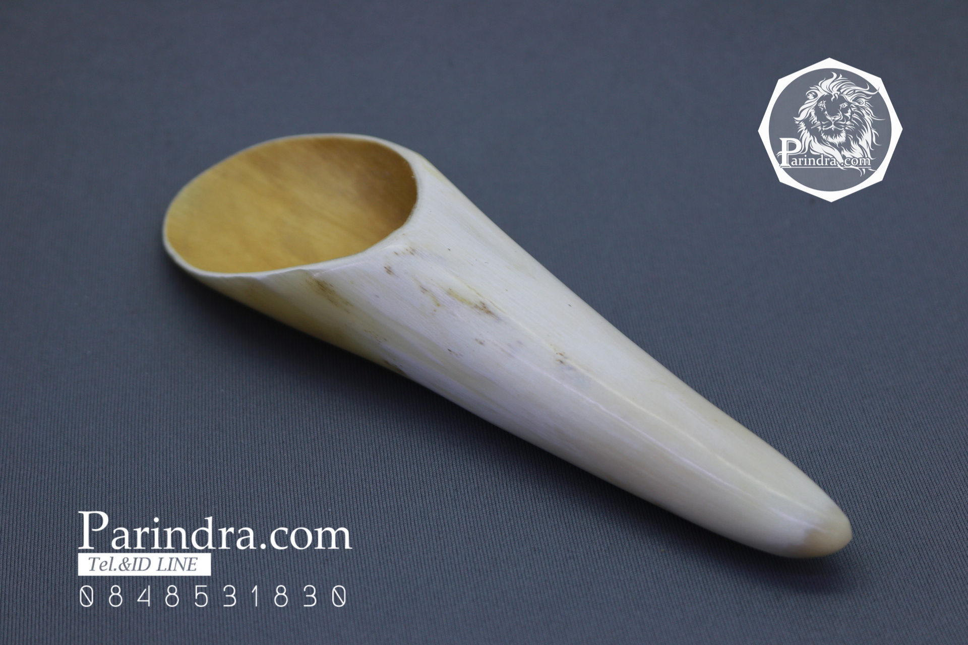 เขาจามรี สีขาวงาช้าง กัวซา สวยงามน่าใช้