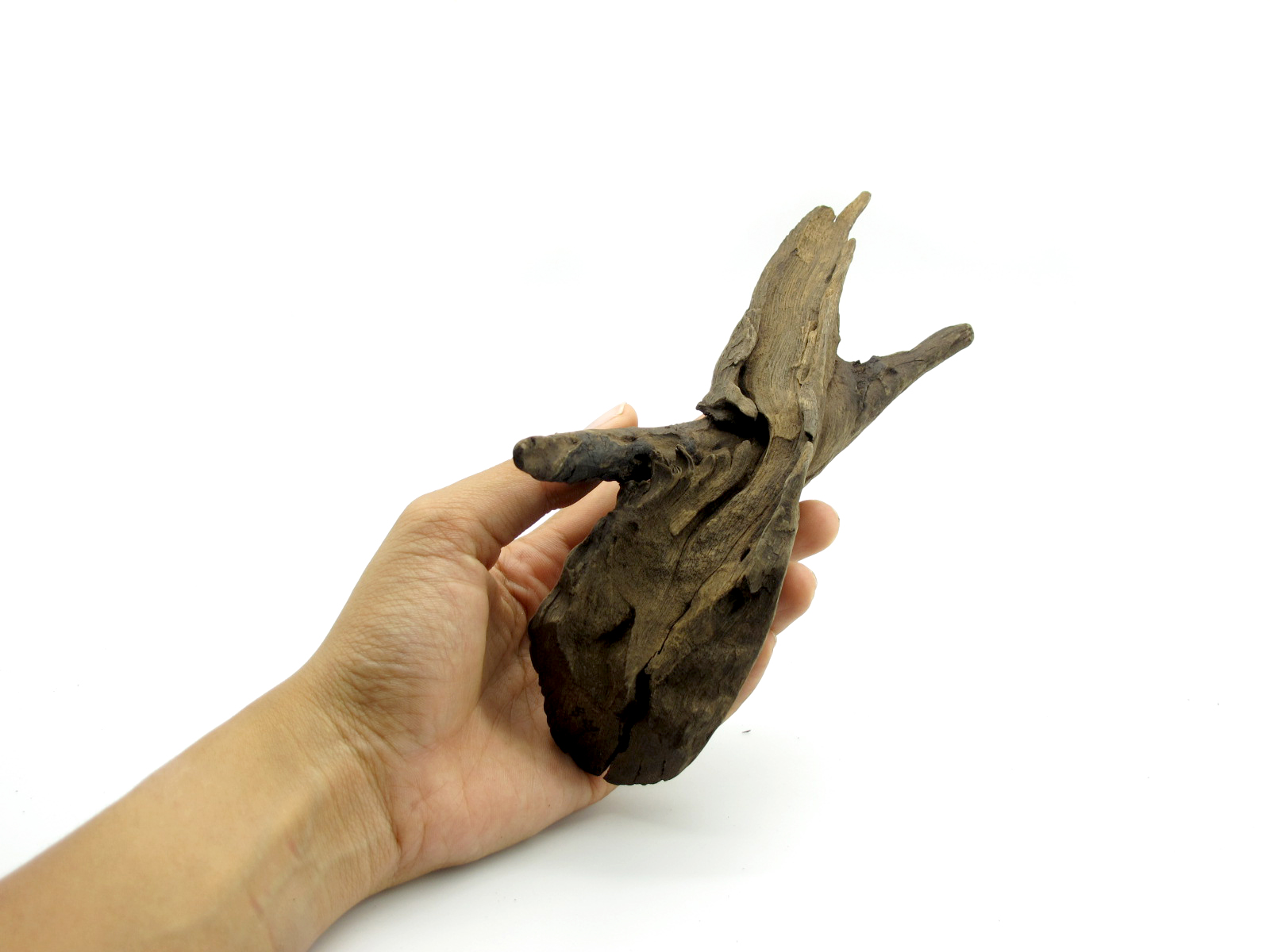 ขอนไม้ตกแต่งตู้ปลาหรือใช้เลี้ยงสัตว์เลื้อยคลาน 068