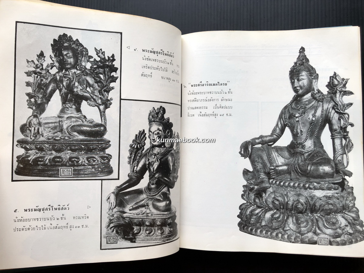 ภาพพระพุทธรูป (Buddha Images) / ประชุม กาญจนวัฒน์