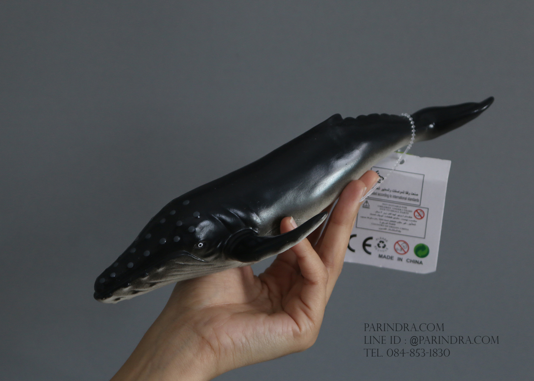 โมเดลปลาวาฬหลังค่อม Humpback Whale ขนาด 1 ฟุต