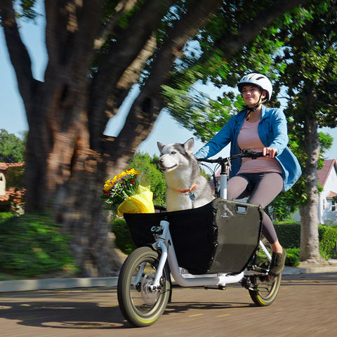 Atmose Mini Cargo 2025 – จักรยานไฟฟ้ามินิคาร์โก 3 รุ่น Hub Motor / Mid Drive / ธรรมดา | ล้อ 16/20 นิ้ว | รับน้ำหนัก 175kg