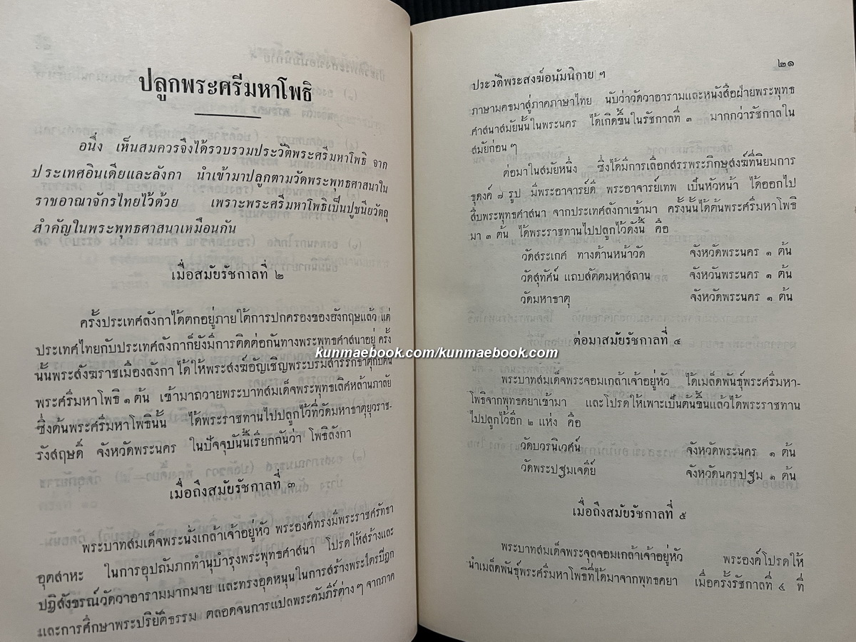 ประวัติพระสงฆ์อนัมนิกายในราชอาณาจักรไทย และประวัติความเป็นมาของชนเชื้อชาติญวนในสมัยต้นรัตนโกสินทร์ซึ่งเกี่ยวกับประเทศไทย