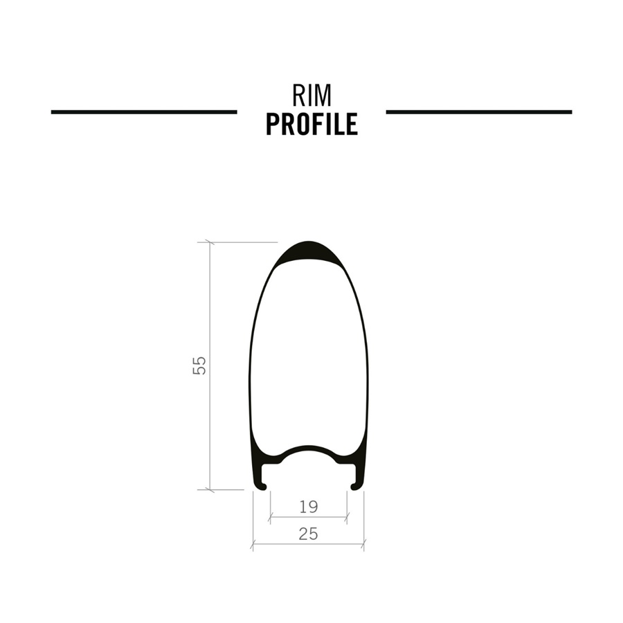 ชุดล้อเสือหมอบ FSA VISION SC 55 Disc Carbon Wheelset Clincher Centerlock 12x100mm/12x142mm black