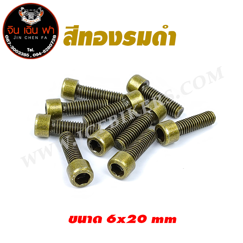 น็อตแต่งไทเทเนี่ยม 6x20 (เบอร์ 10) อย่างดี ตัวล่ะ 25 บาท