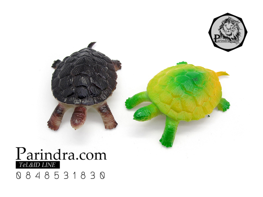 โมเดลเต่าญี่ปุ่น ชุดคู่สองตัว