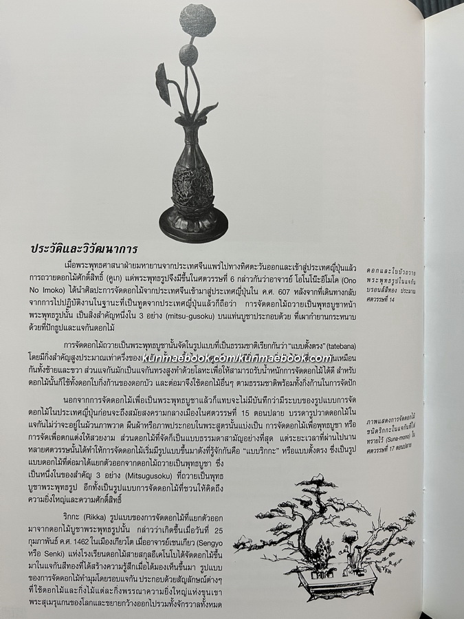 อนุสรณ์ในงานพระราชทานเพลิงศพ นางถนิต จักรปาณีศรีศีลวิสุทธิ์ ( สกุลเดิม ณ สงขลา )