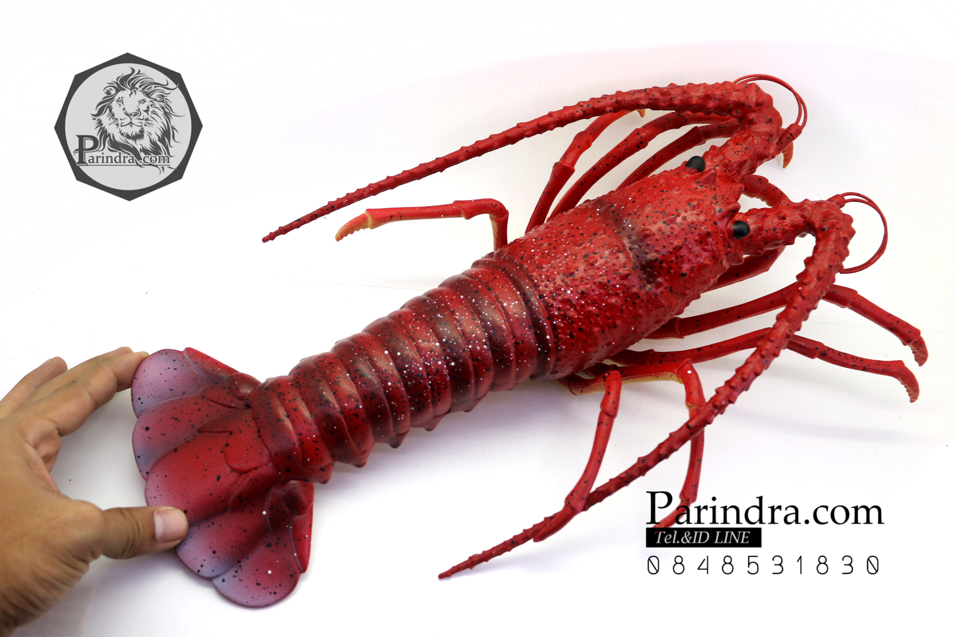 โมเดลกุ้งมังกร Lobster ยักษ์ แบบยางกึ่งอ่อนนุ่มกึ่งแข็ง ตั้งโชว์สวย ขนาดใหญ่ 16 นิ้ว