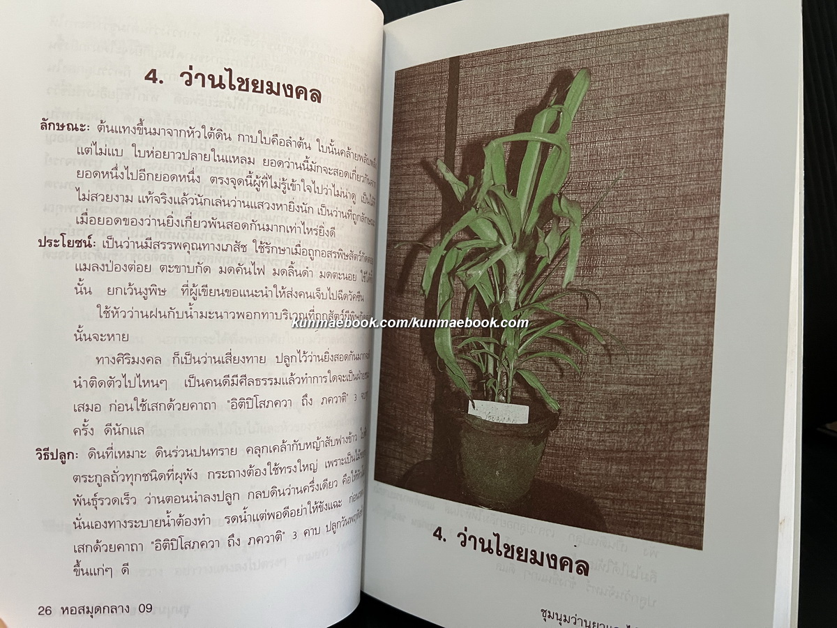 ชุมนุมว่านยาและไม้มงคล ผลงานของ รังว่าน ปากช่อง