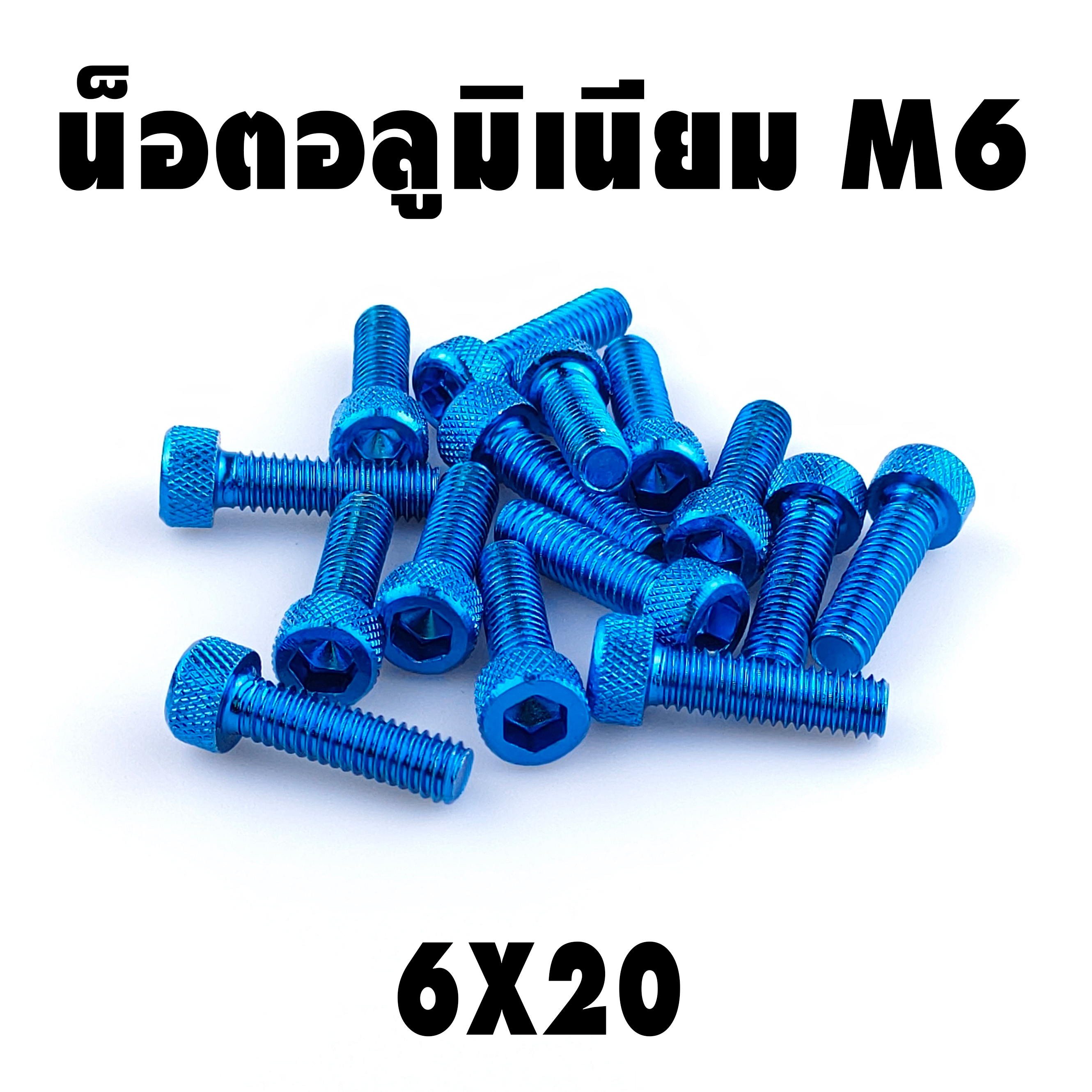 น็อตแต่ง อลูมิเนียม 6*20 (เบอร์ 10) ชุดละ 10 ตัว ราคา 100 บาท