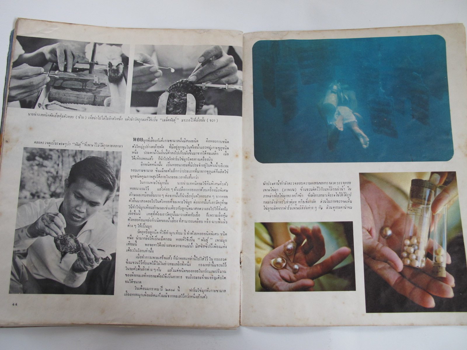 นิตยสาร "เสรีภาพ" ฉบับที่ 113