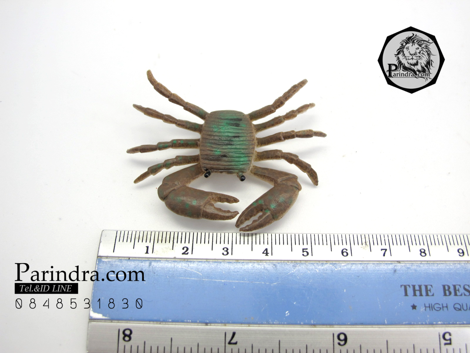 โมเดลชุดปูทะเล Educational Toys SEA CRAB มีหลายสีหลายชนิด ครบชุด 6 ตัว