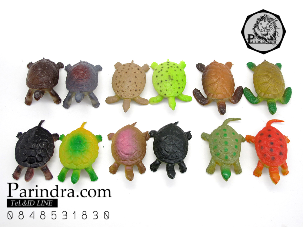 โมเดลเต่าชุด