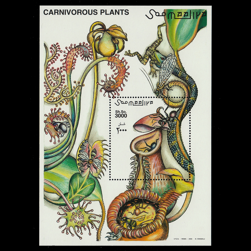 ชีทแสตมป์โซมาเลีย ชุด CANIVOROUS PLANTS ตระกูลพืชกินแมลง ปี 2000 - SOMALIA