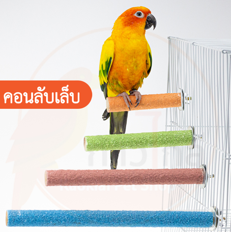 ลับเล็บชูก้า กระรอก คอนลับเล็บนกแก้วติดกรง คอนแบบติดกรง คอนนก นกแก้ว คอนไม้ คอนลับเล็บ