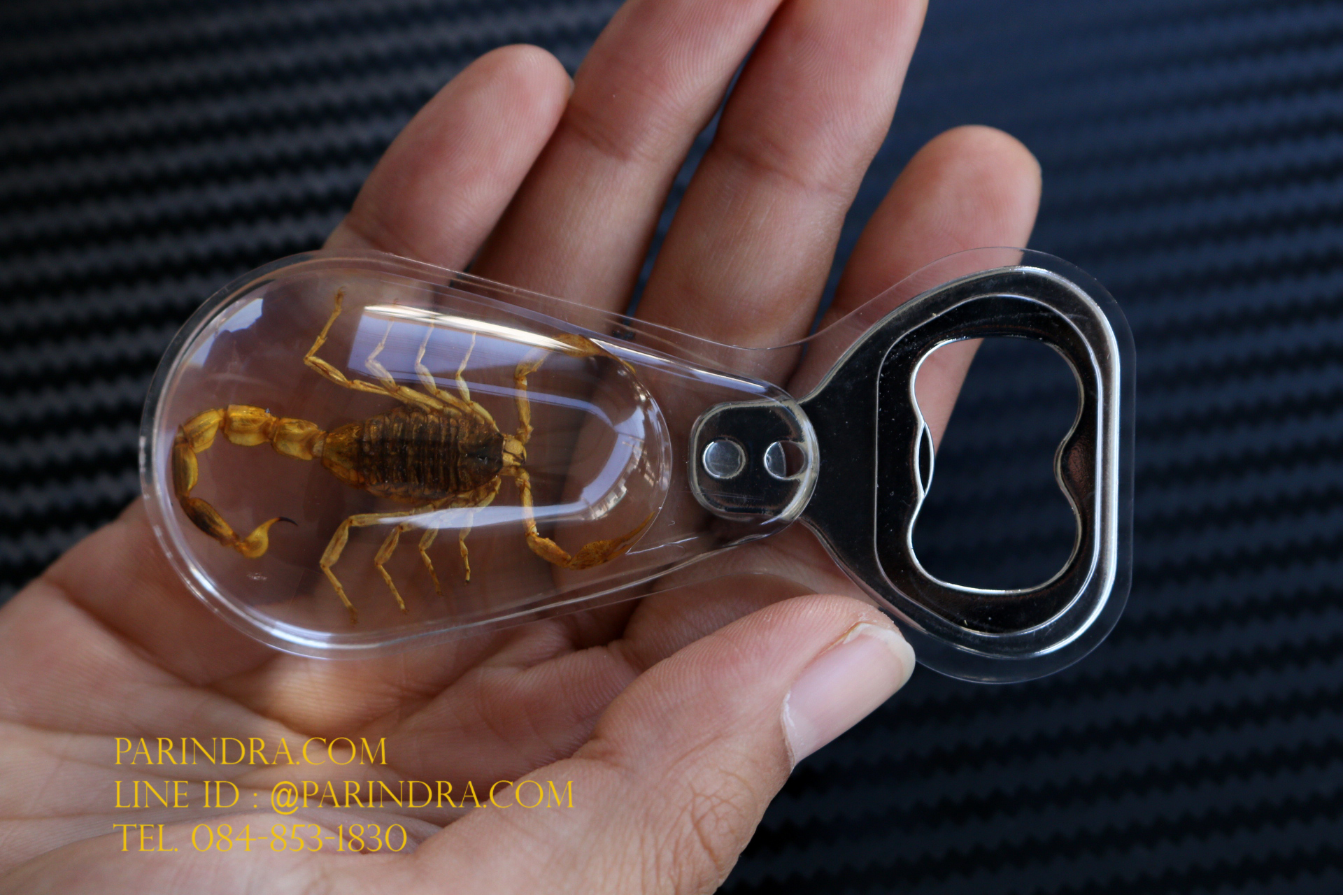 ที่เปิดขวด แมงป่องสีน้ำตาลในเรซิ่น แบบมีแม่เหล็กติดกับตู้เย็น