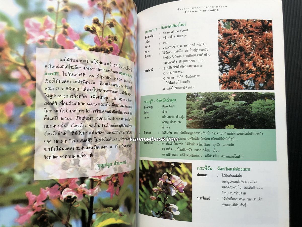 ไม้มงคลประจำจังหวัด / อนุสรณ์ พล.ต.ท.ดิเรก สงคศิริ ม.ว.ม.,ป.ช.