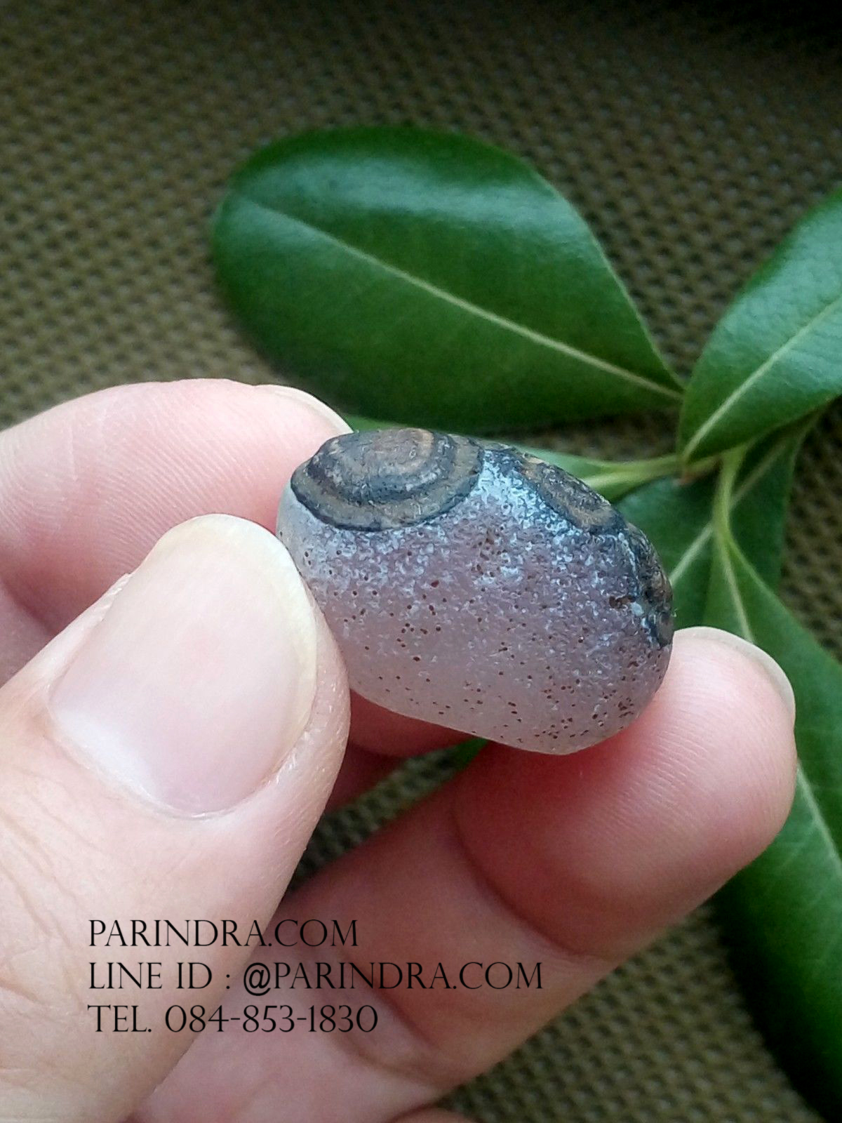 หินรูปทรงประหลาดจากทะเลทรายโกบี GOBI Eye Stone #GOBI003