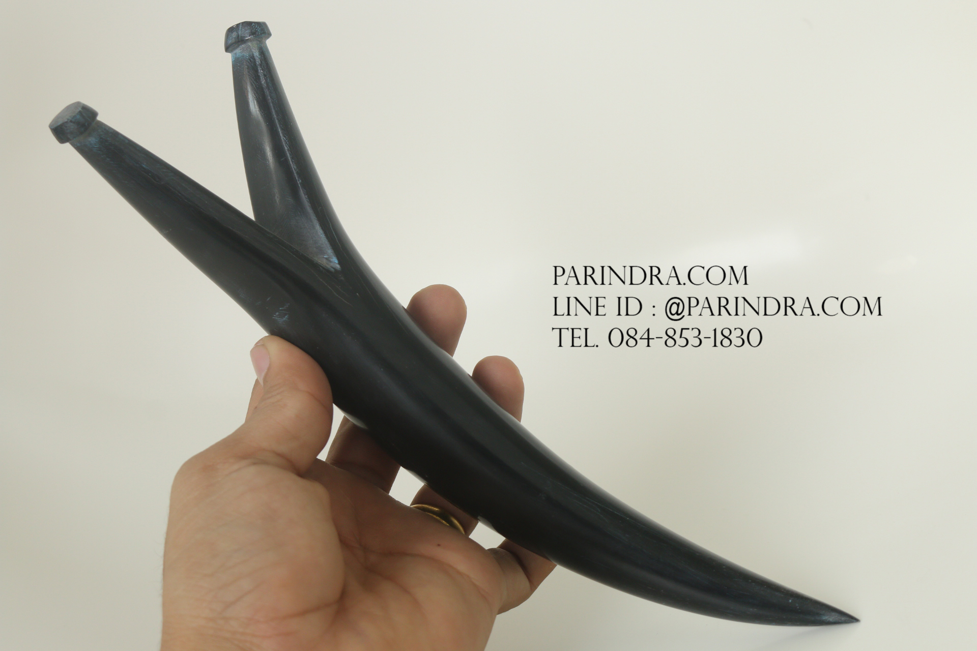 หนังสติ๊กเขาควายตัน สีดำสนิท โค้งงอ เข้ารูปสวยงาม #BAF003