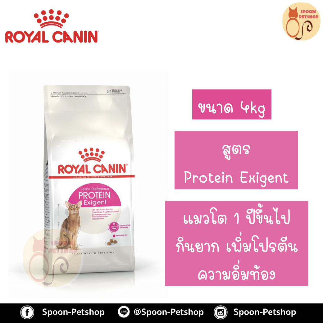 Royal Canin อาหารแมว โรยัล คานิน Exigent Protein Preference 42 แพ็คโรงงาน 4kg สำหรับ แมวที่เลือกกินอาหารจากความสบายท้อง 1 ปีขึ้นไป