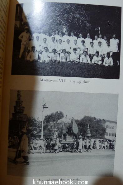 SIAMESE TAPESTRY 1st Edition