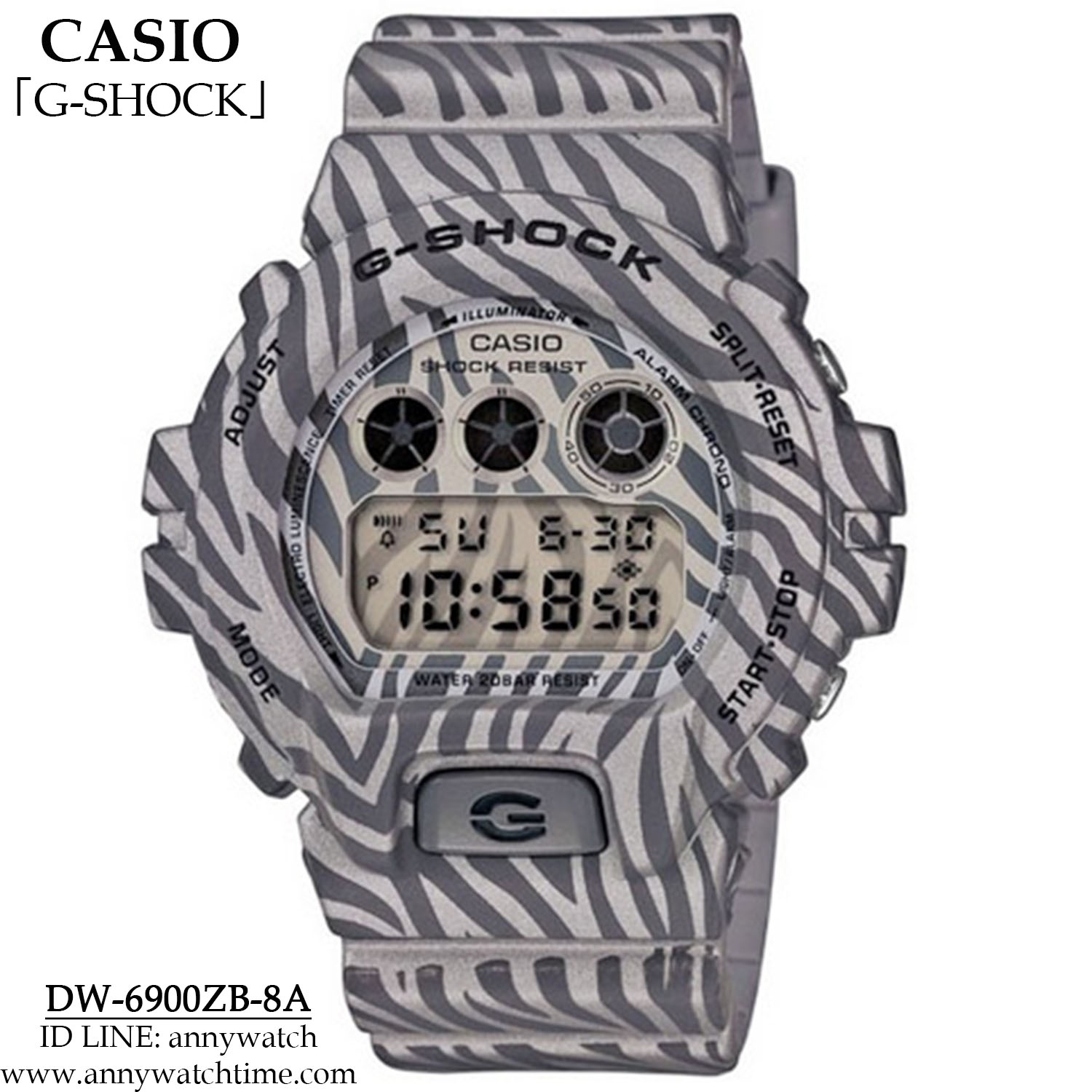 G-SHOCK DW-6900ZB-8A