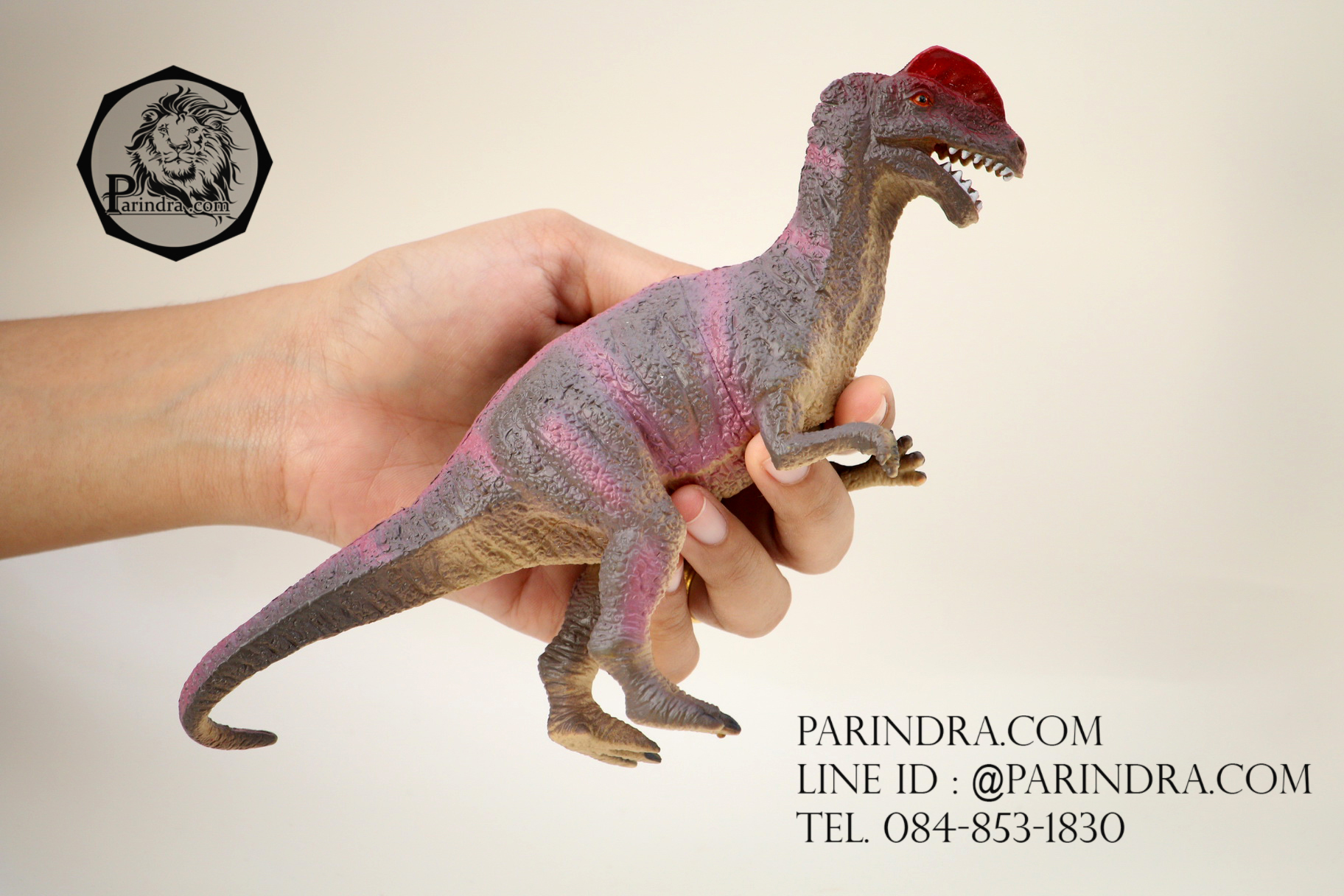 โมเดลไดโนเสาร์ Dilophosaurus (ไดโลโฟซอรัส)