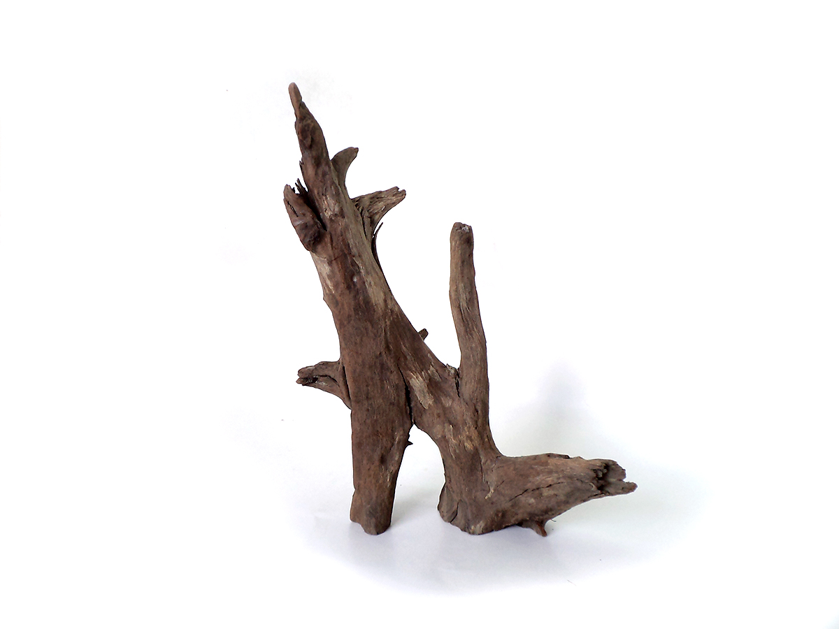 ขอนไม้ตกแต่งตู้ปลาหรือใช้เลี้ยงสัตว์เลื้อยคลาน 025