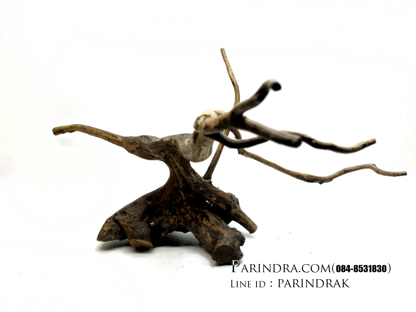 ขอนไม้ตกแต่งตู้ปลาหรือใช้เลี้ยงสัตว์เลื้อยคลาน 002